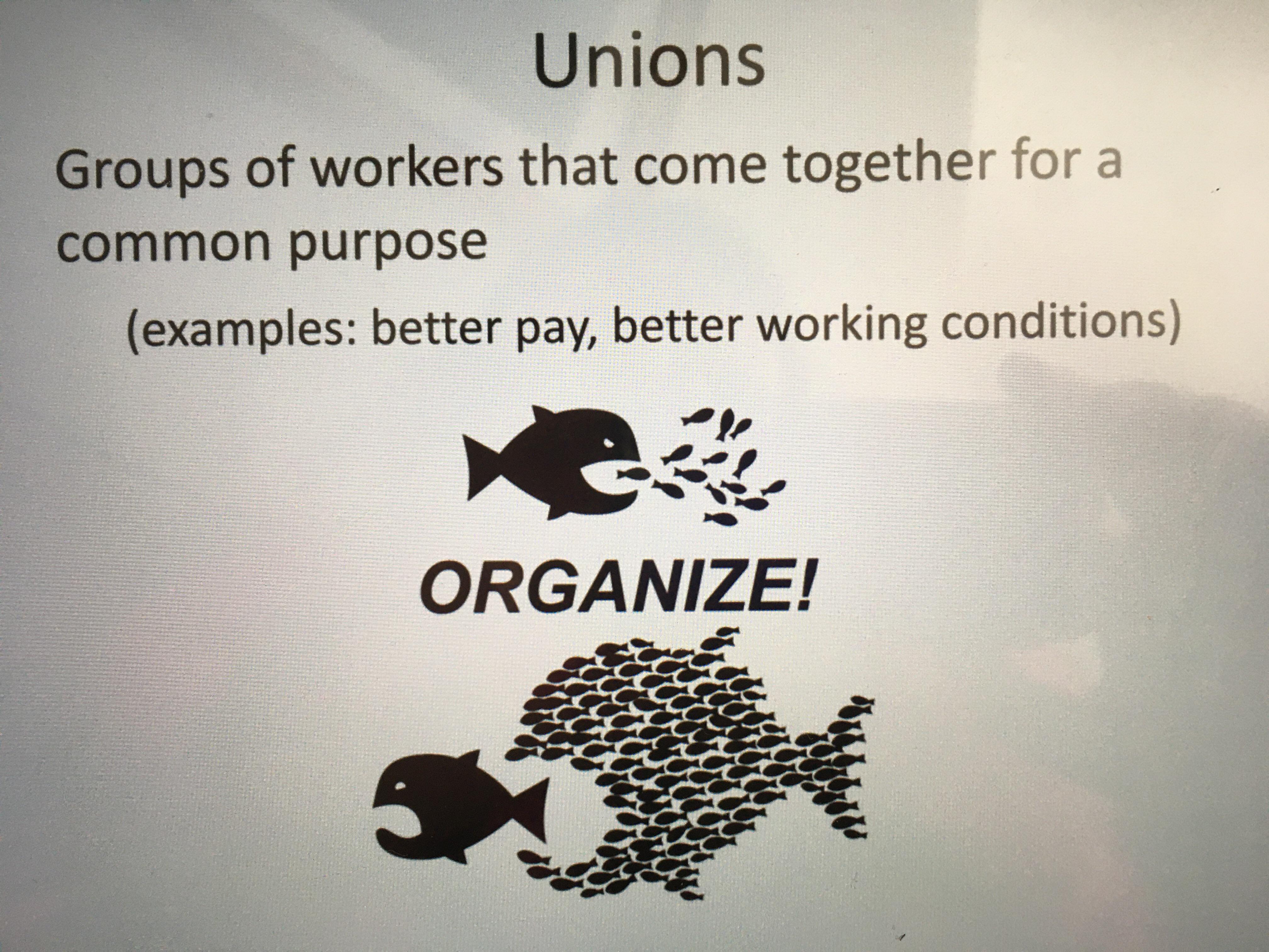 The predator the prey. Scrolller