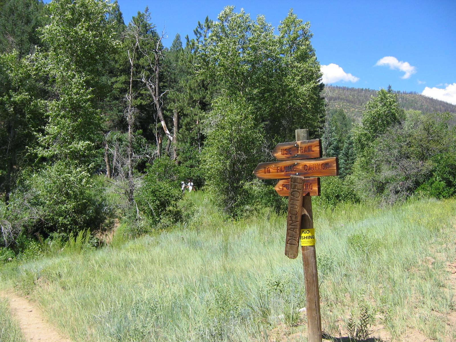 The Signs of Philmont. 2004. Scrolller