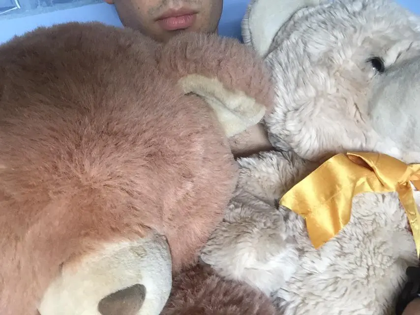 The teddy bears I love humping | Scrolller
