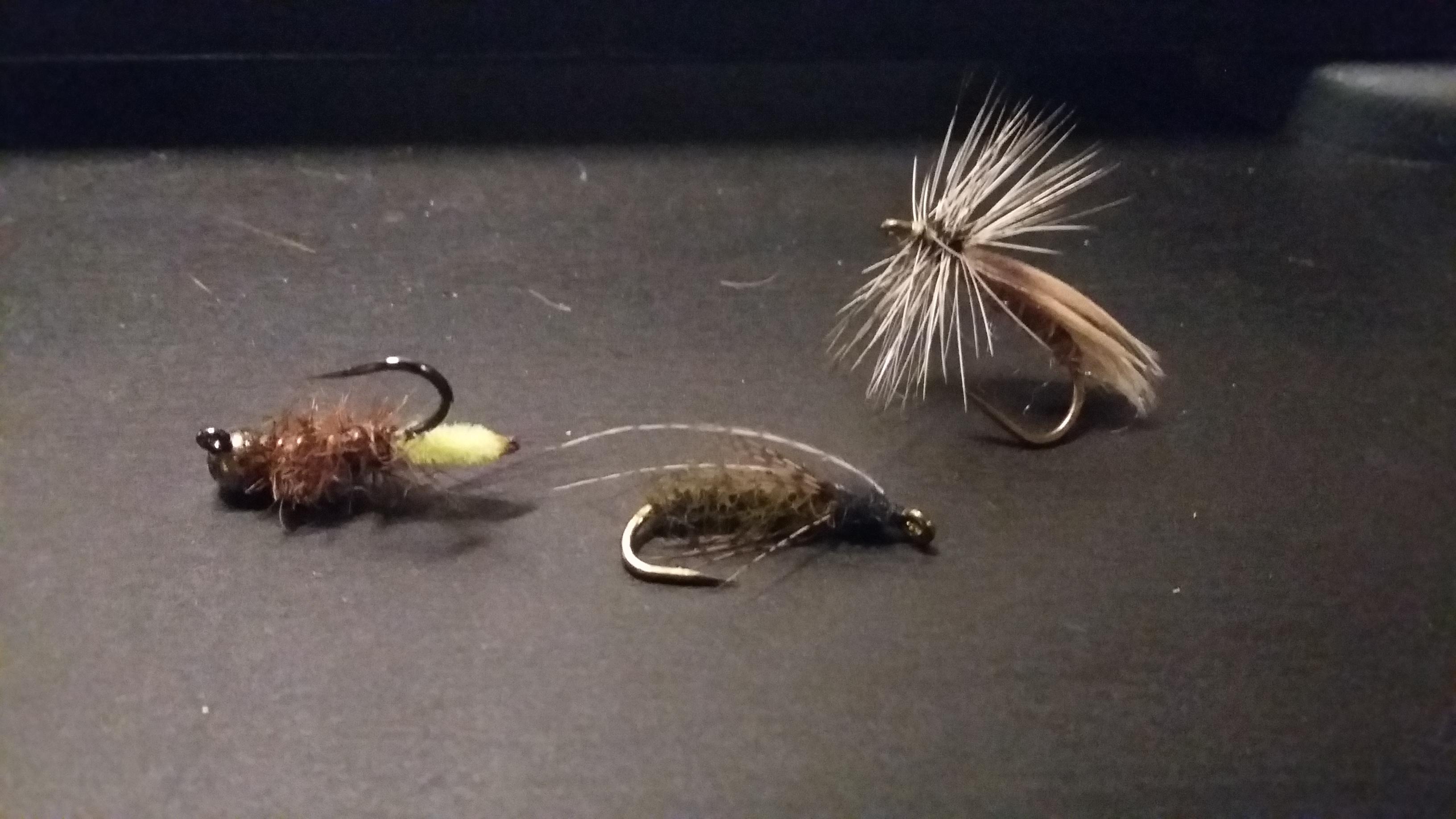 The three stages of caddis life Scrolller