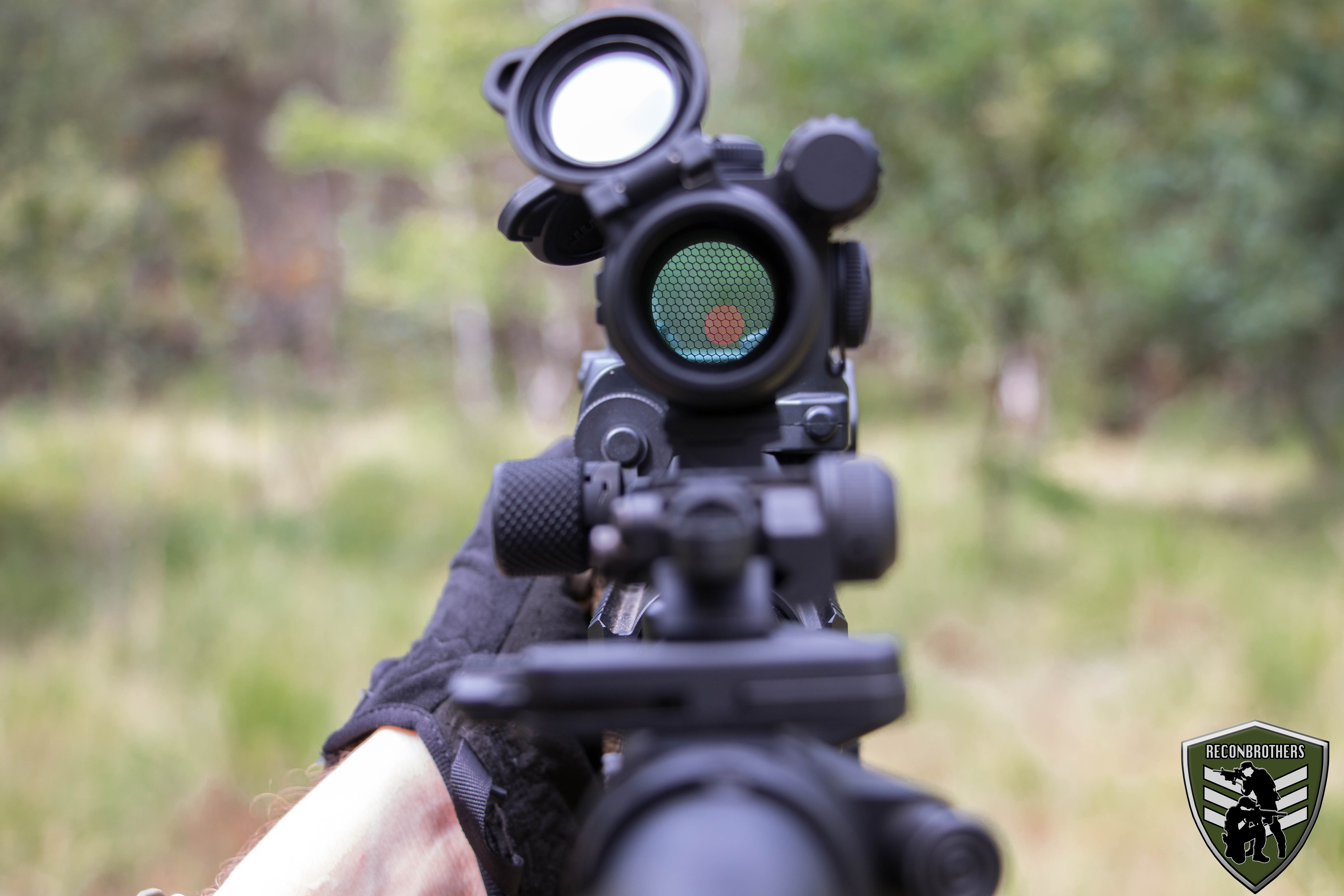 The view trough an Aimpoint pro. What do you guys think of real steel ...
