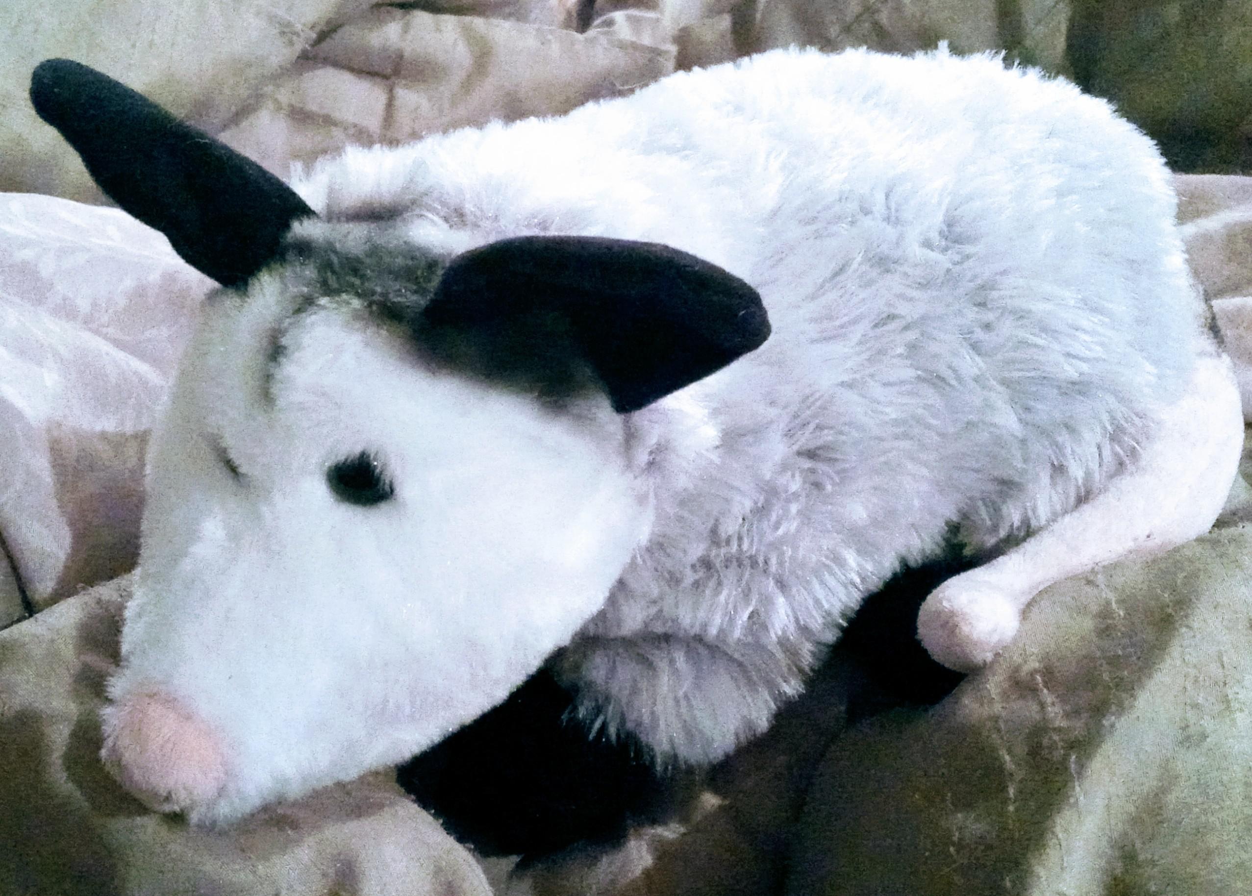 This is not a drill, Bass Pro Shops has opossum stuffed animals!! This