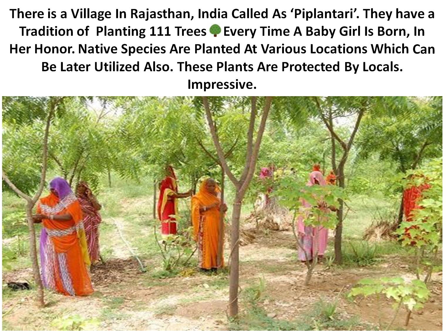 This Village in India Plants 111 Trees for Every Girl Child Born ...