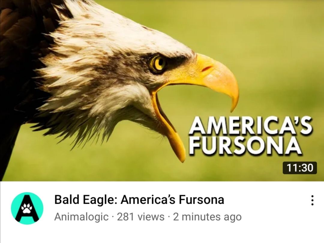 thoughts-what-is-america-s-fursona-in-your-opinion-scrolller