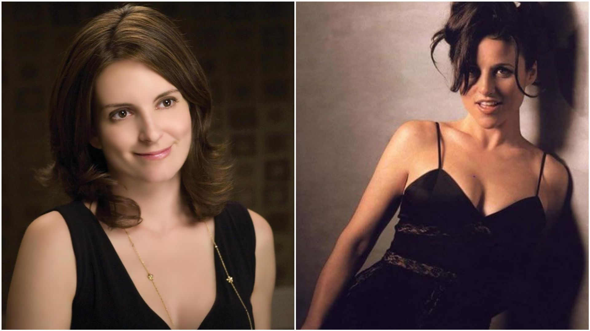 Tina Fey Or Julia Louis Dreyfus Scrolller