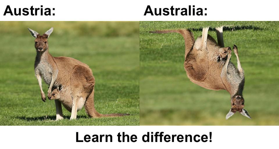 To avoid confusion here is a definitive guide | Scrolller