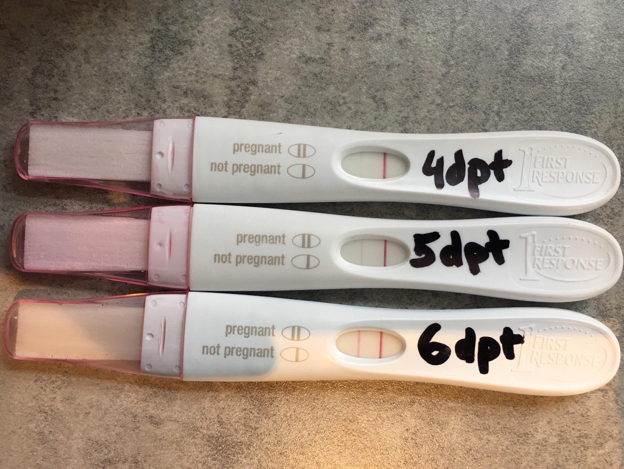 Transferred A 5 Day 3AA Embryo After 2 Years Of Infertility Can t transferred-a-5-day-3aa-embryo-after-2-years-of-infertility-can-t