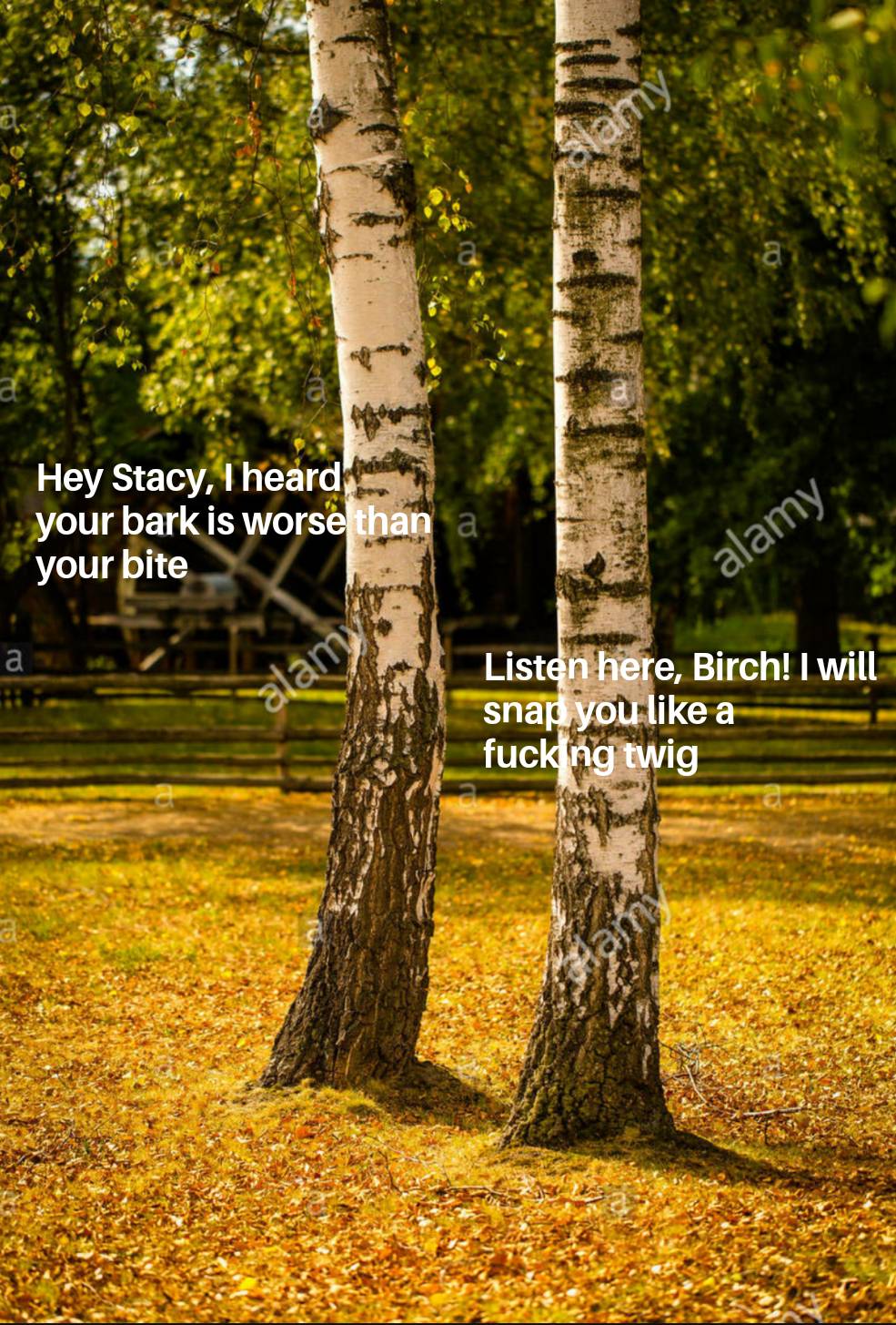 Tree Memes Scrolller