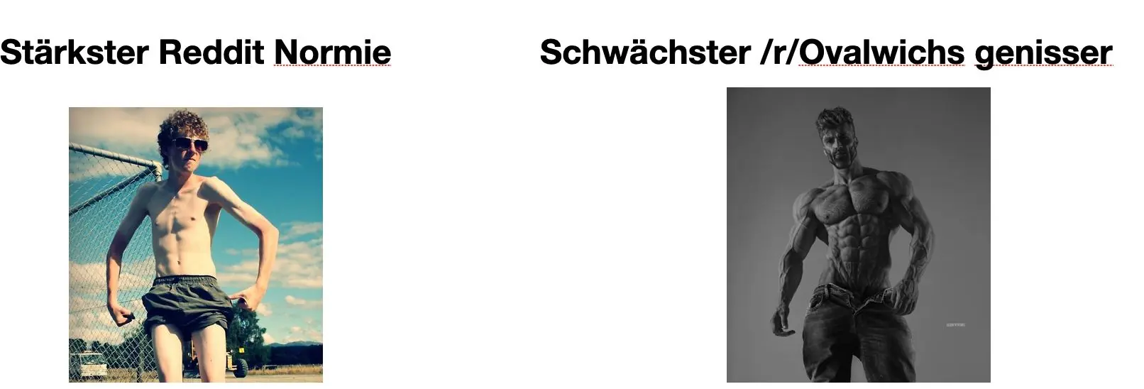 u/Stefan_Nwortmeier ich verspreche dir ich werde nie wieder das Schwert des Kultur Kampfes hier führen