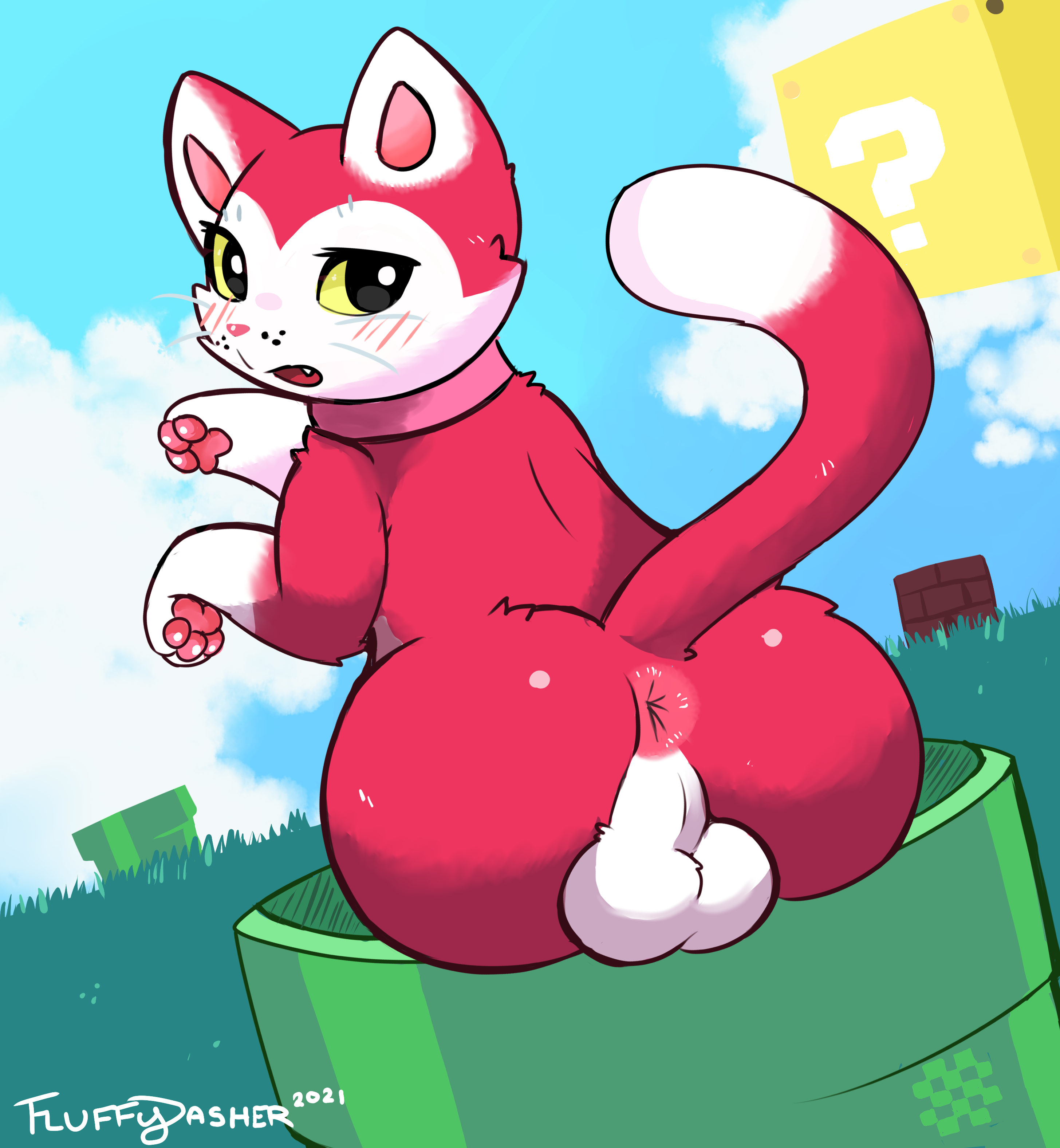 Rule 34 gato