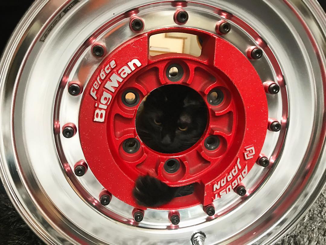 Rare Japanese Rims Vintage Japanese Wheels are a requirement for your Vintage Japanese ...