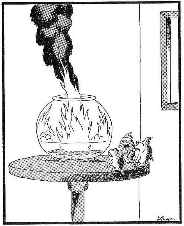 What is the fish saying? Scrolller