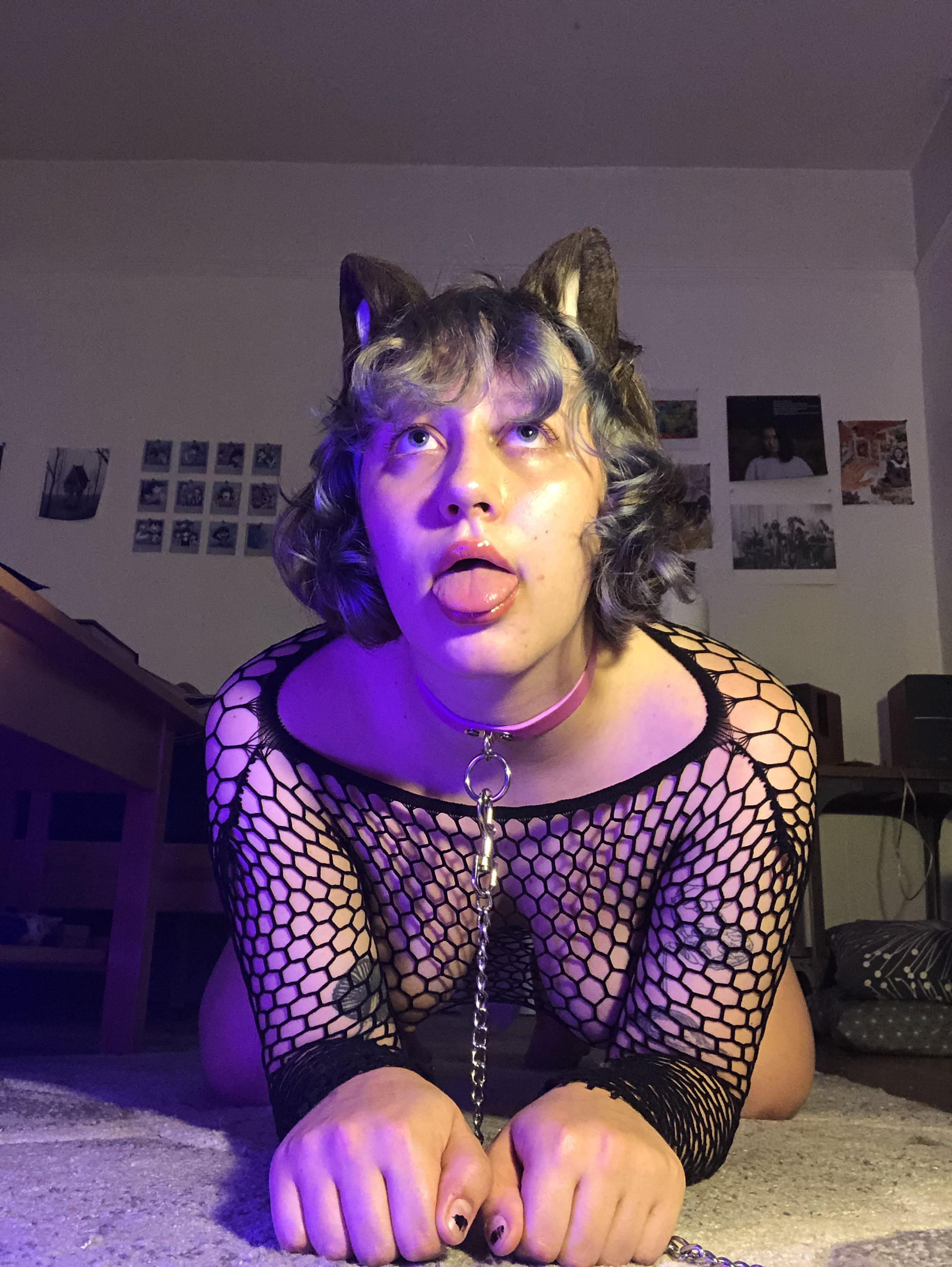 what-s-a-femboy-w-out-his-cat-ears-scrolller