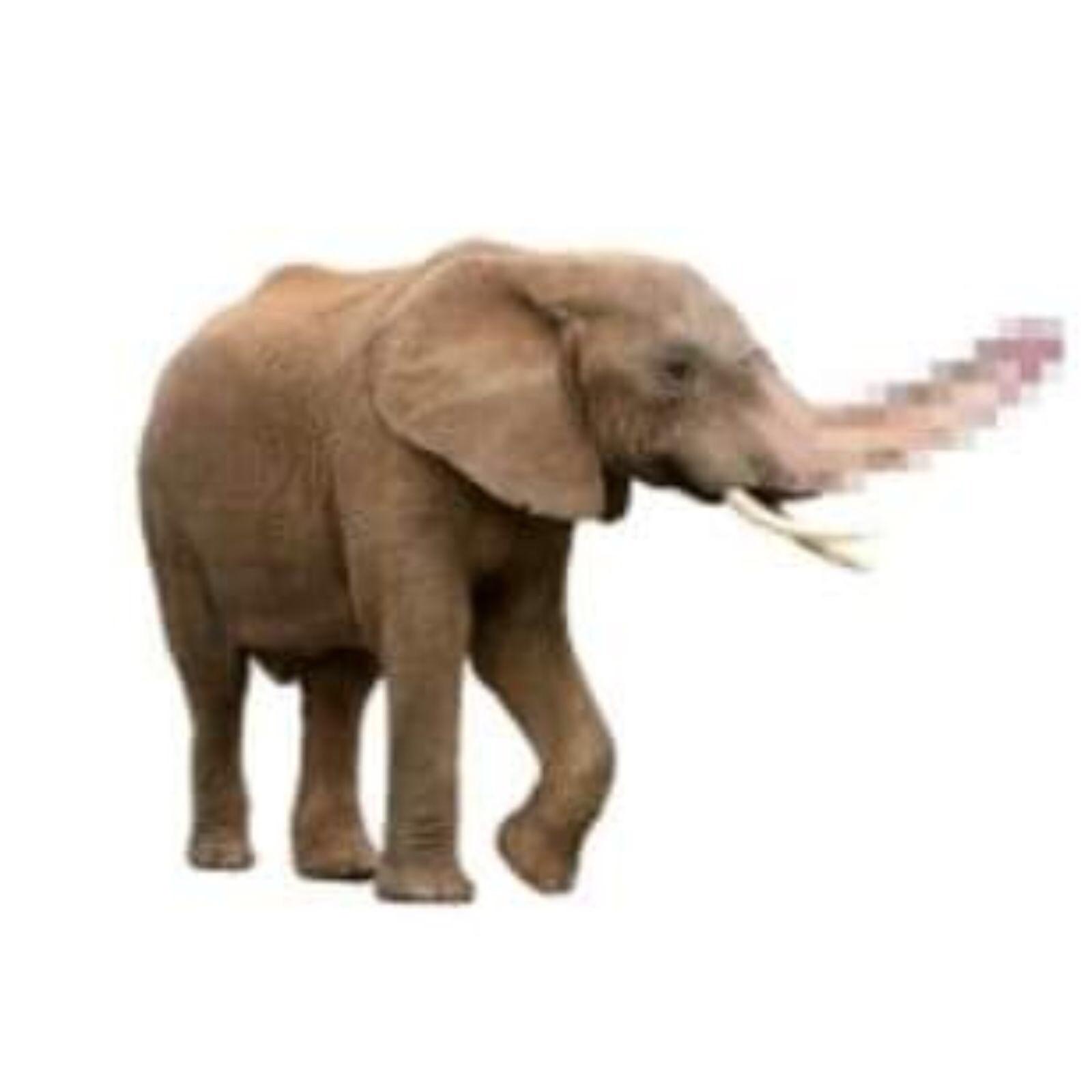What sound does an elephant make again? Scrolller