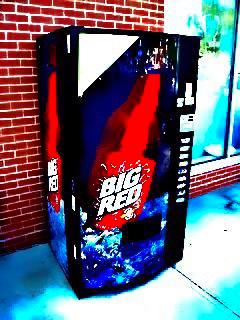 WILD STRAWBERRY WHATS WITH ALL THE IGNORANT POLITICS HERE. WHY NOT