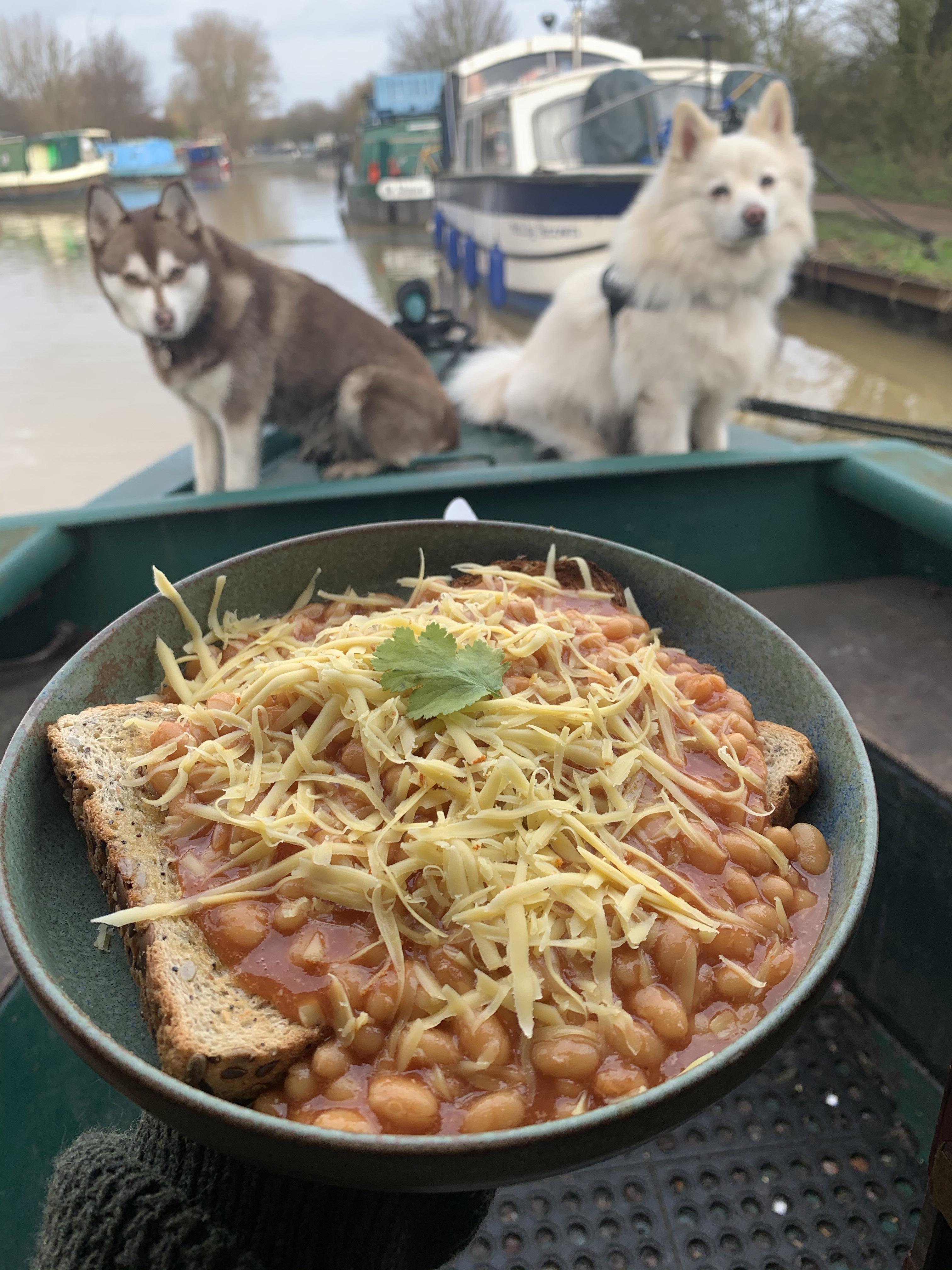 yellowing coriander leaf for garnish Scrolller