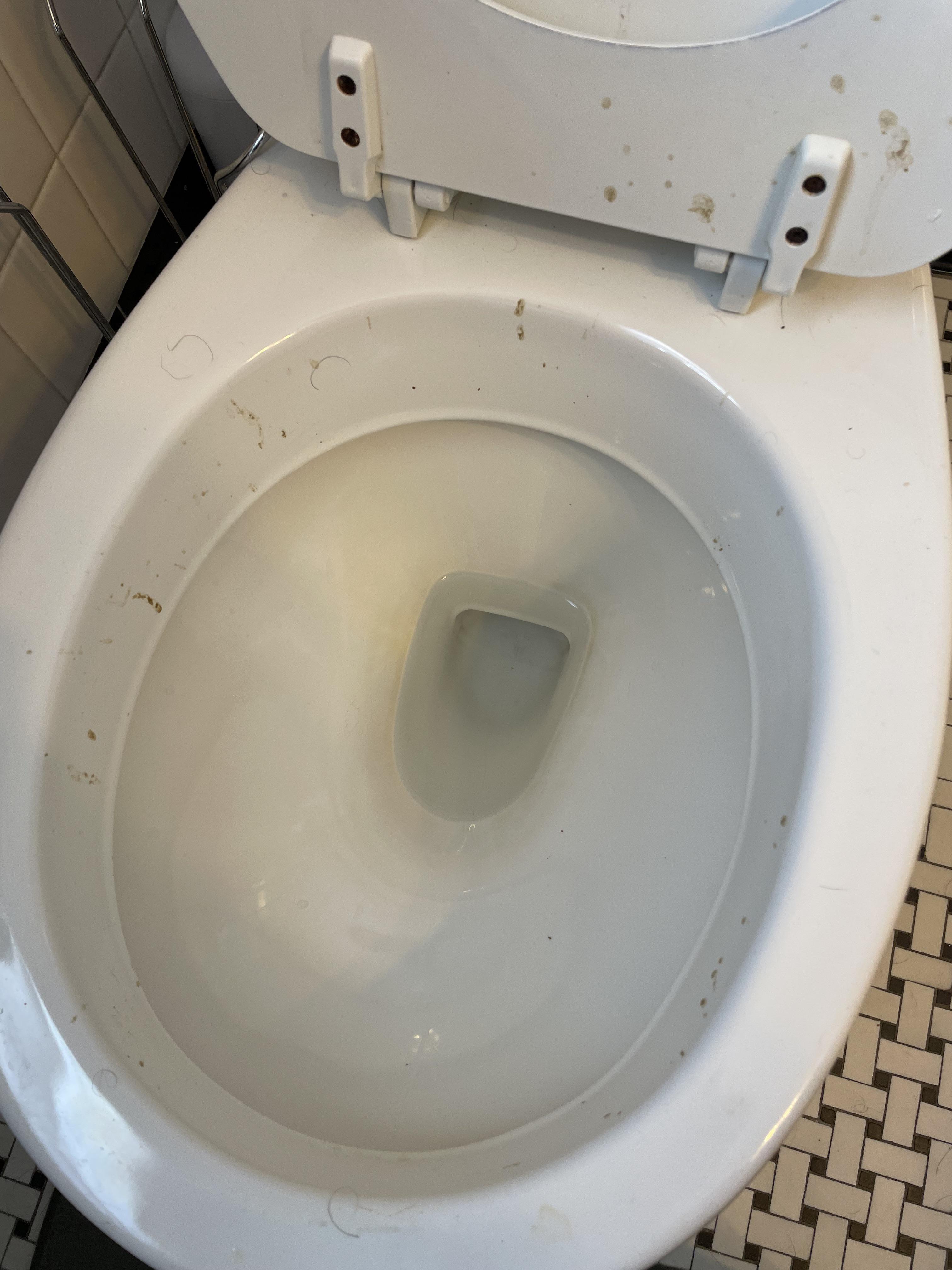 Aftermath of a female diarrhea explosion | Scrolller