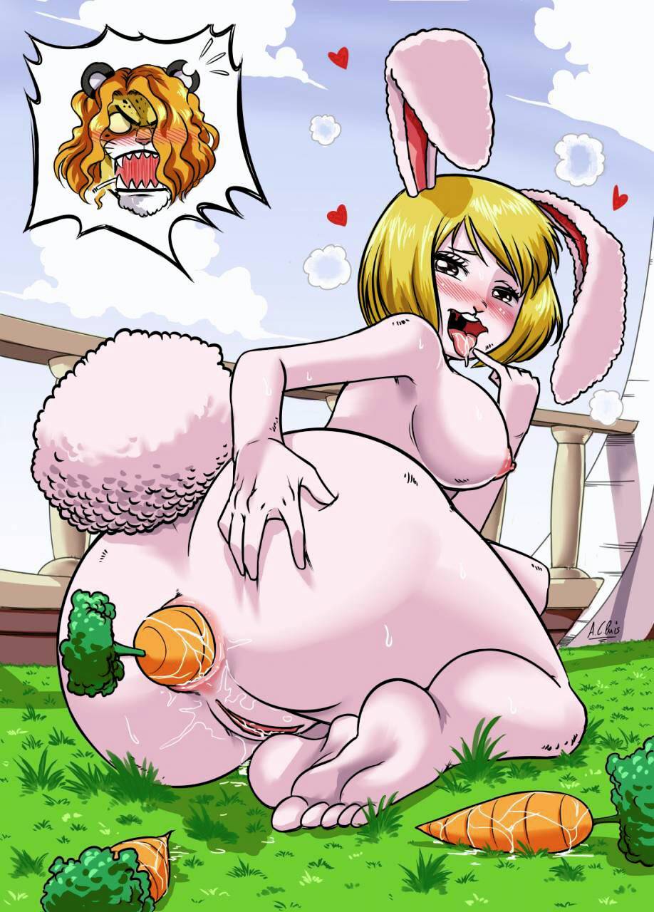 Carrot one piece xxx