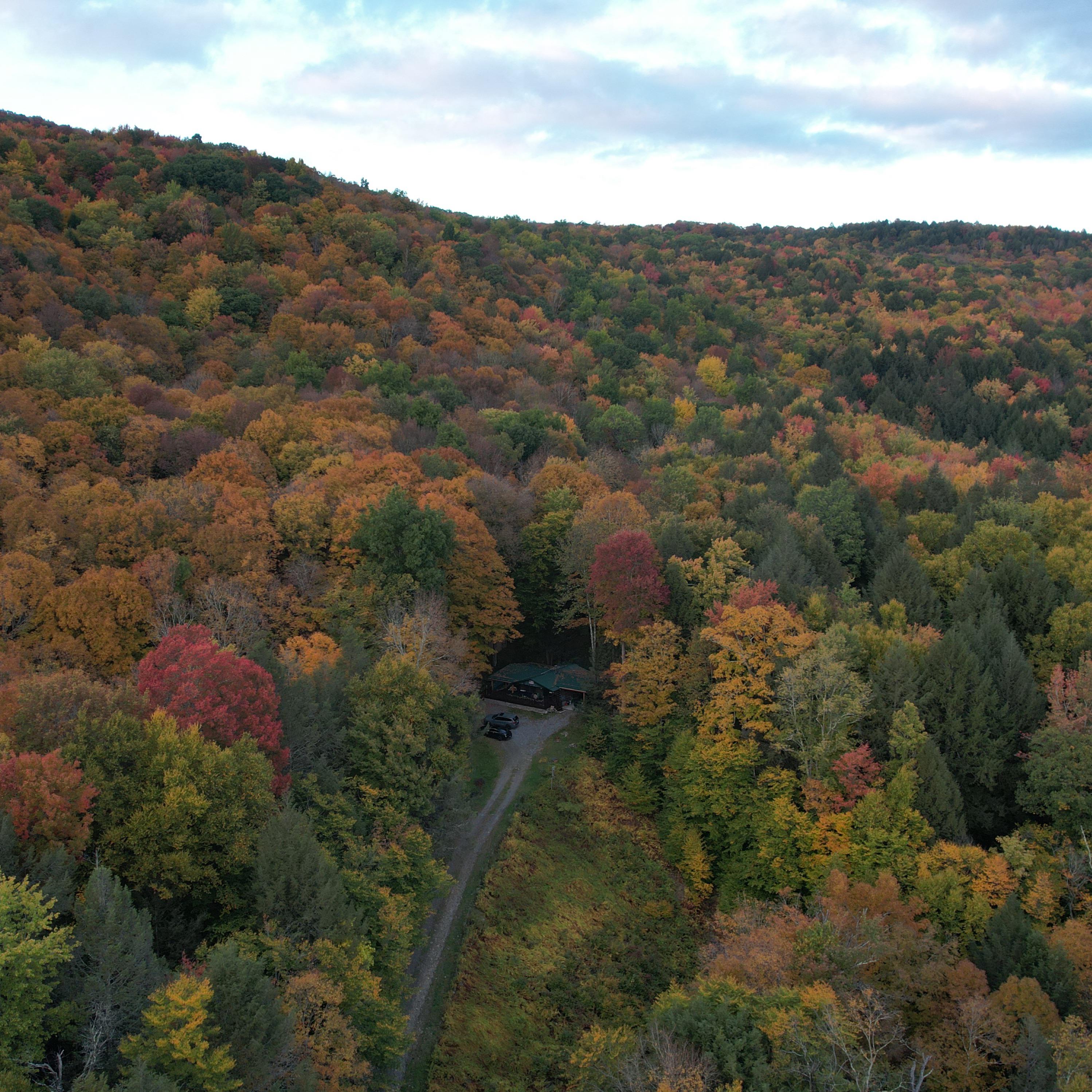 Catskill Ny Craigslist - lhoc3ck