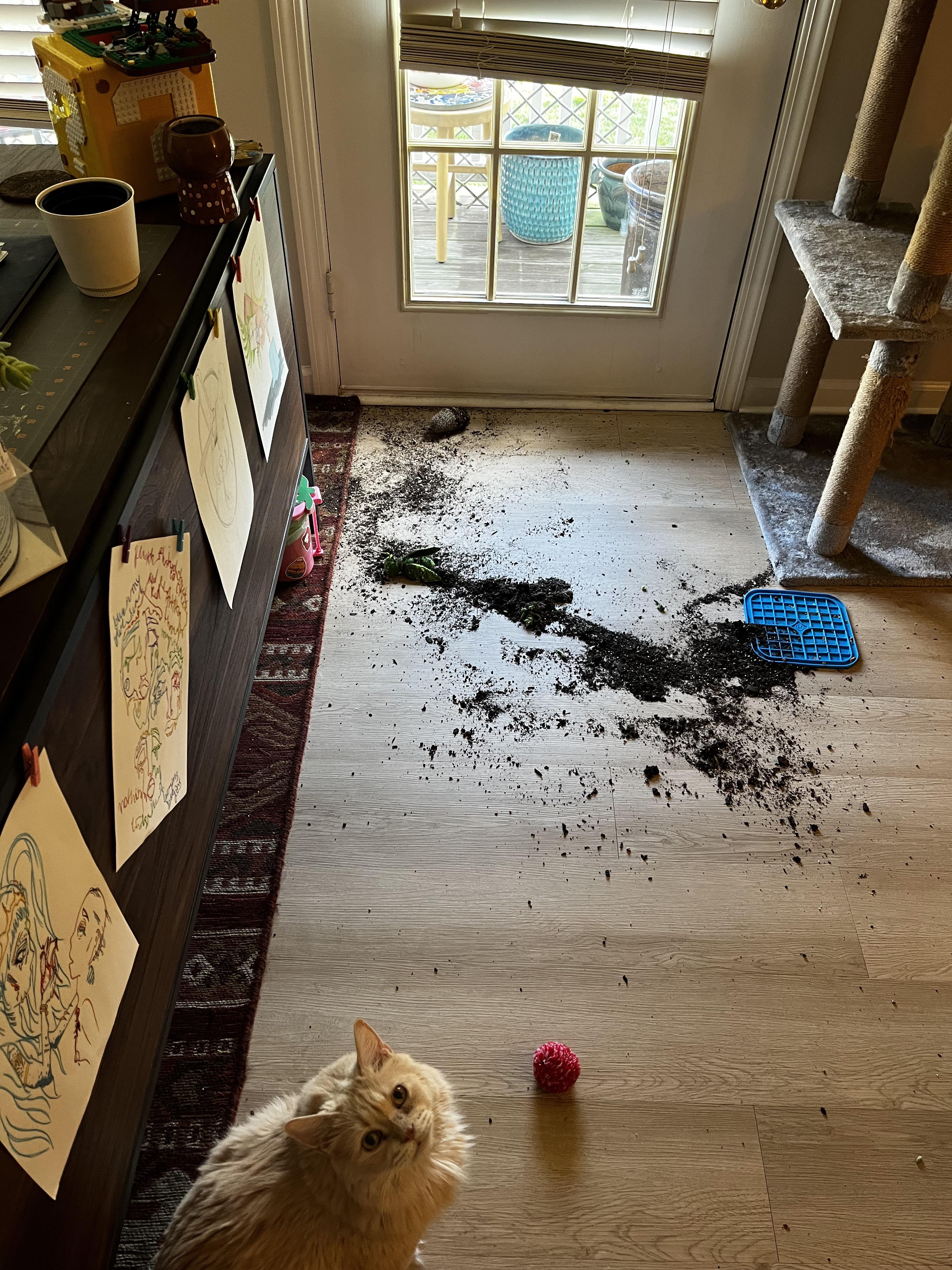 Classic case of “who dun it” 🤨🧐 | Scrolller