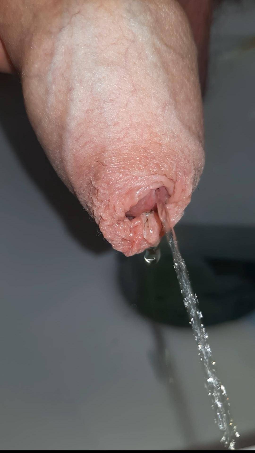 cocks close-up peeing close up uncut peeing cock | Scrolller