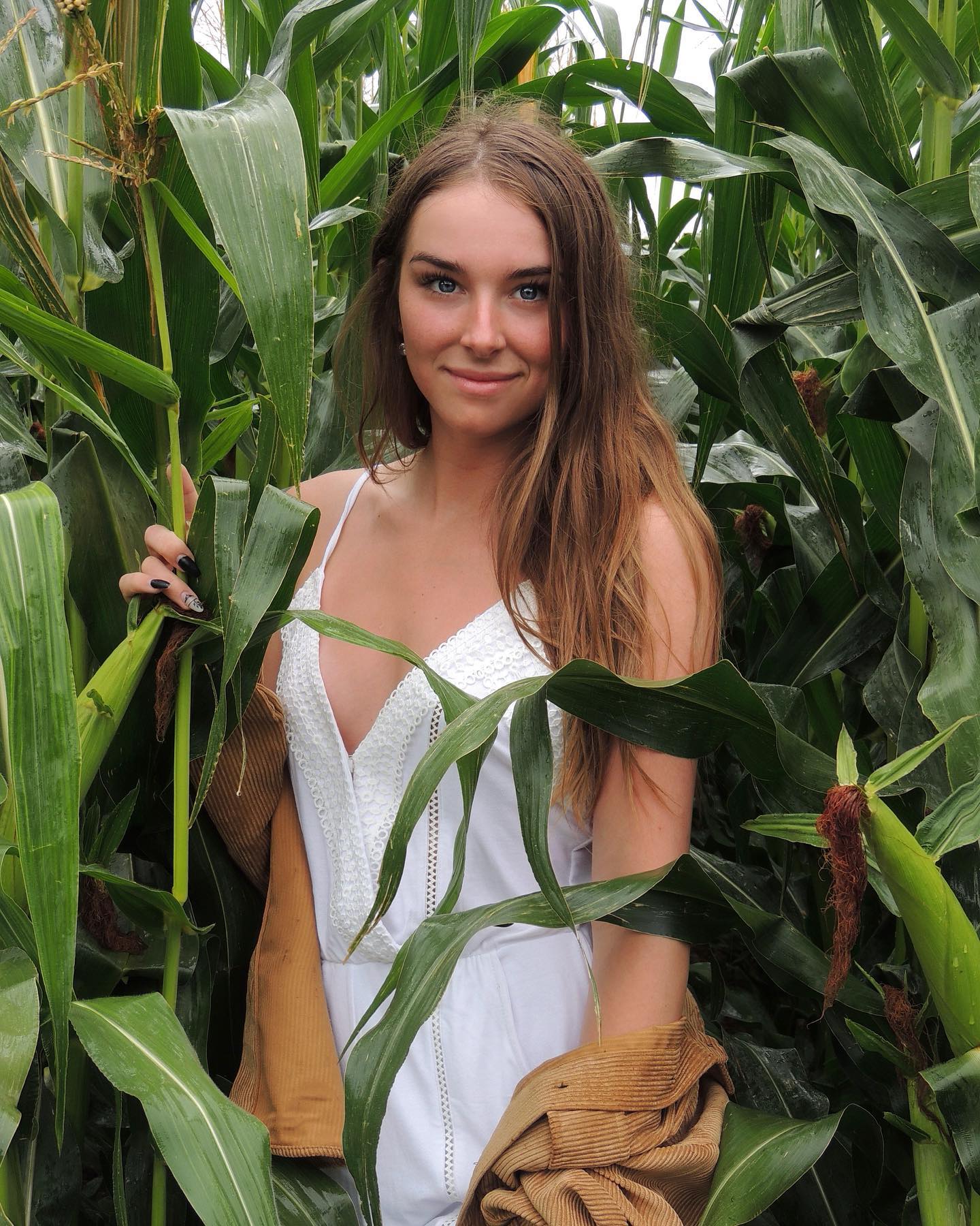 corn field Scrolller