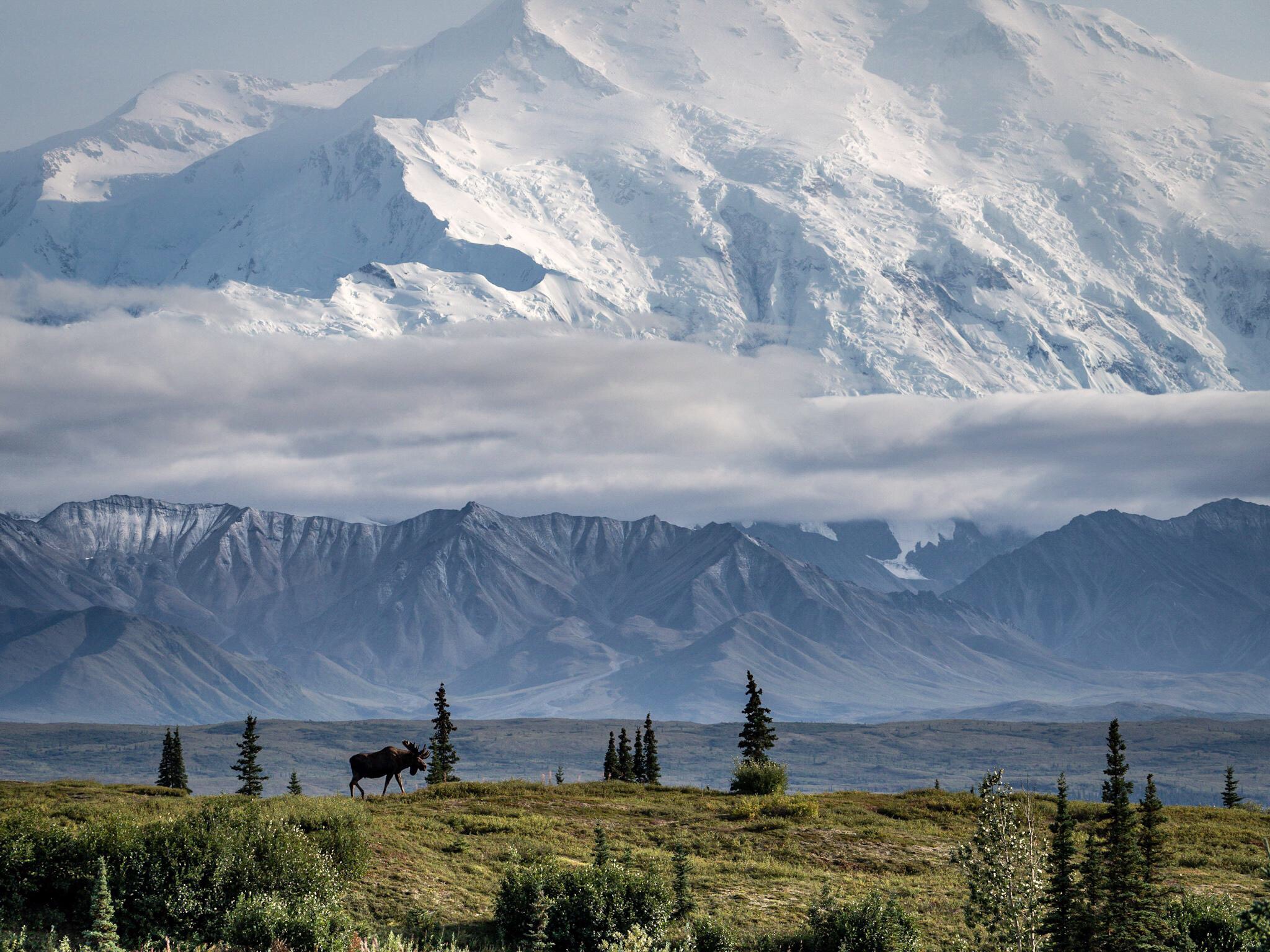 Denali North America’s Highest Peak | Scrolller