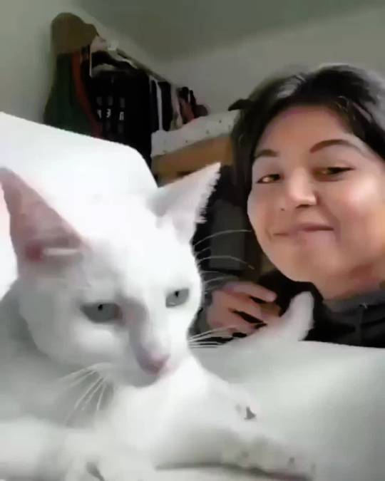 double tap Scrolller