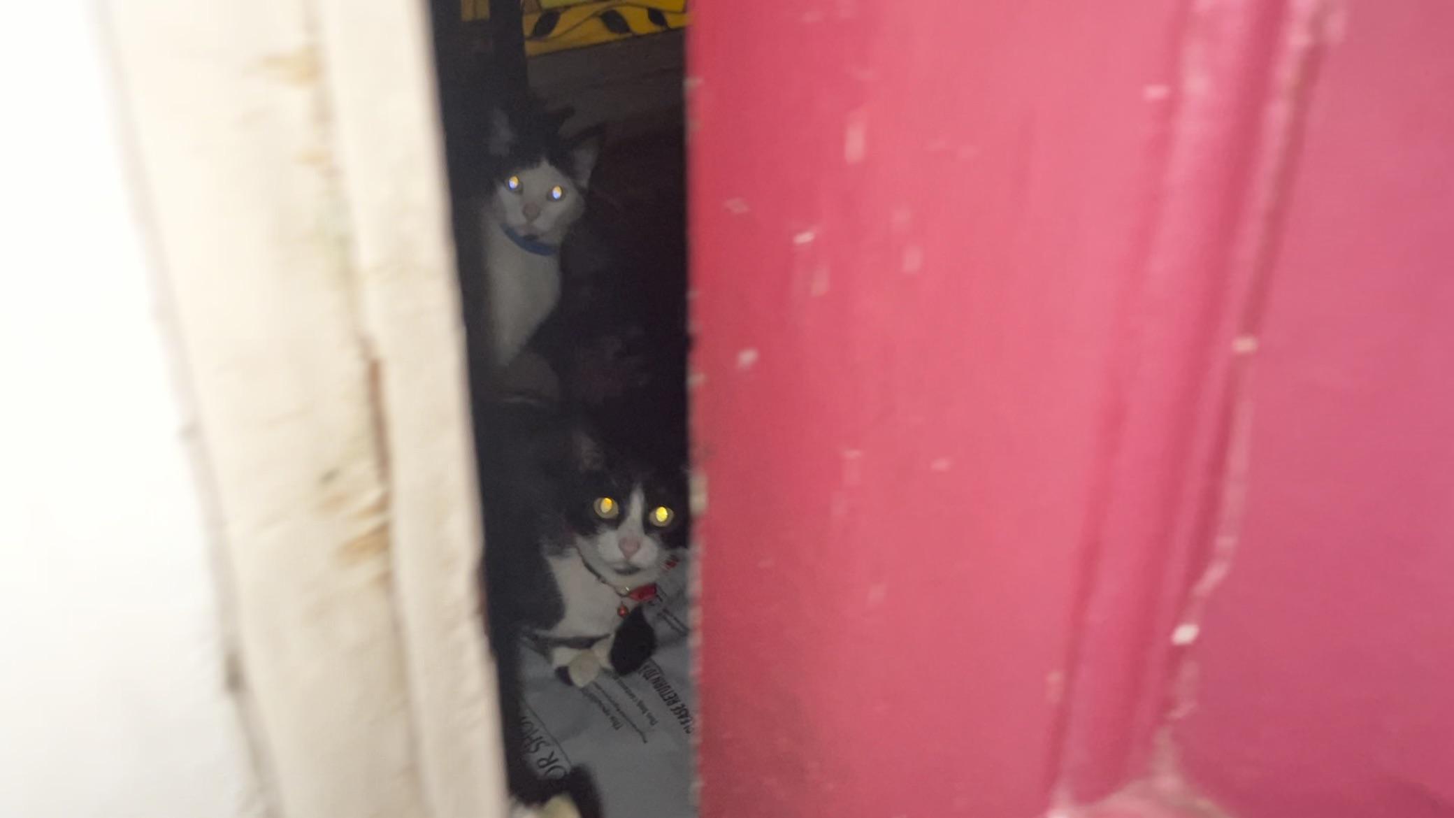 Double Trouble Scrolller