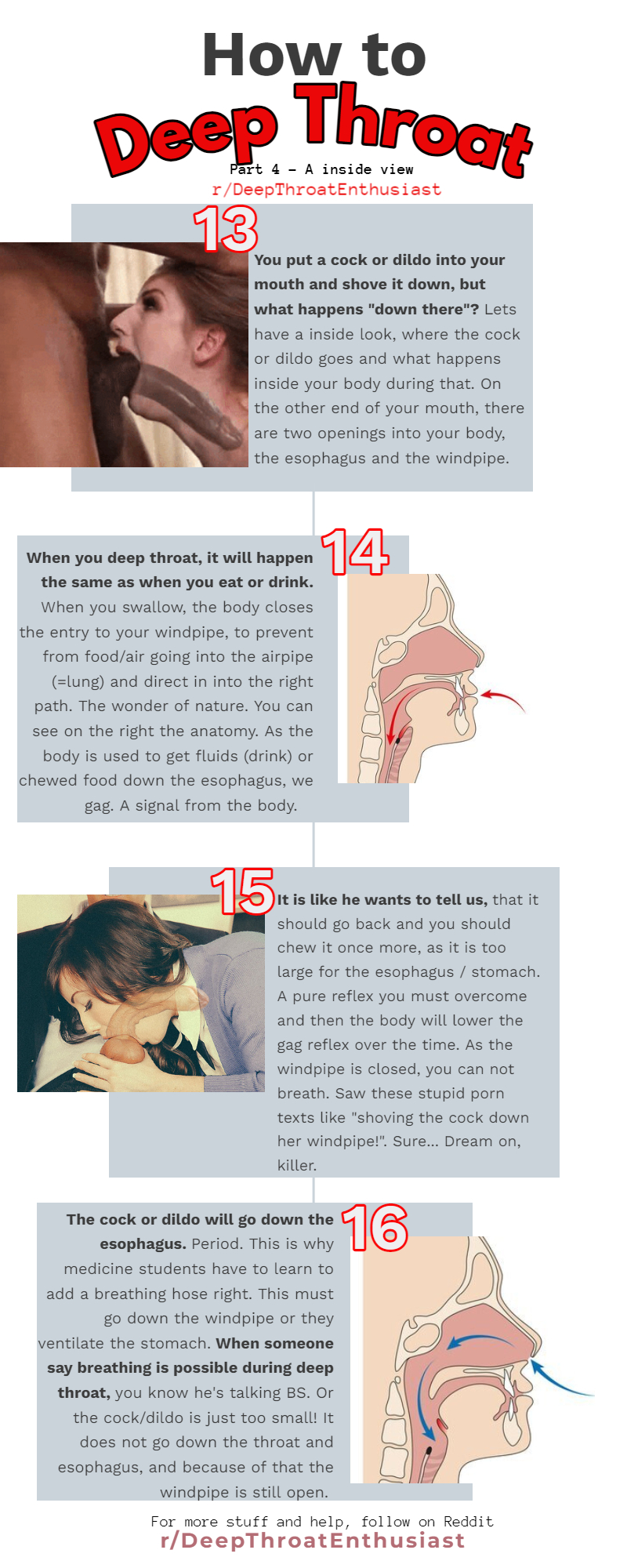 DTE Guide to Deep Throat - Part 4 - A inside view (anatomy) | Scrolller