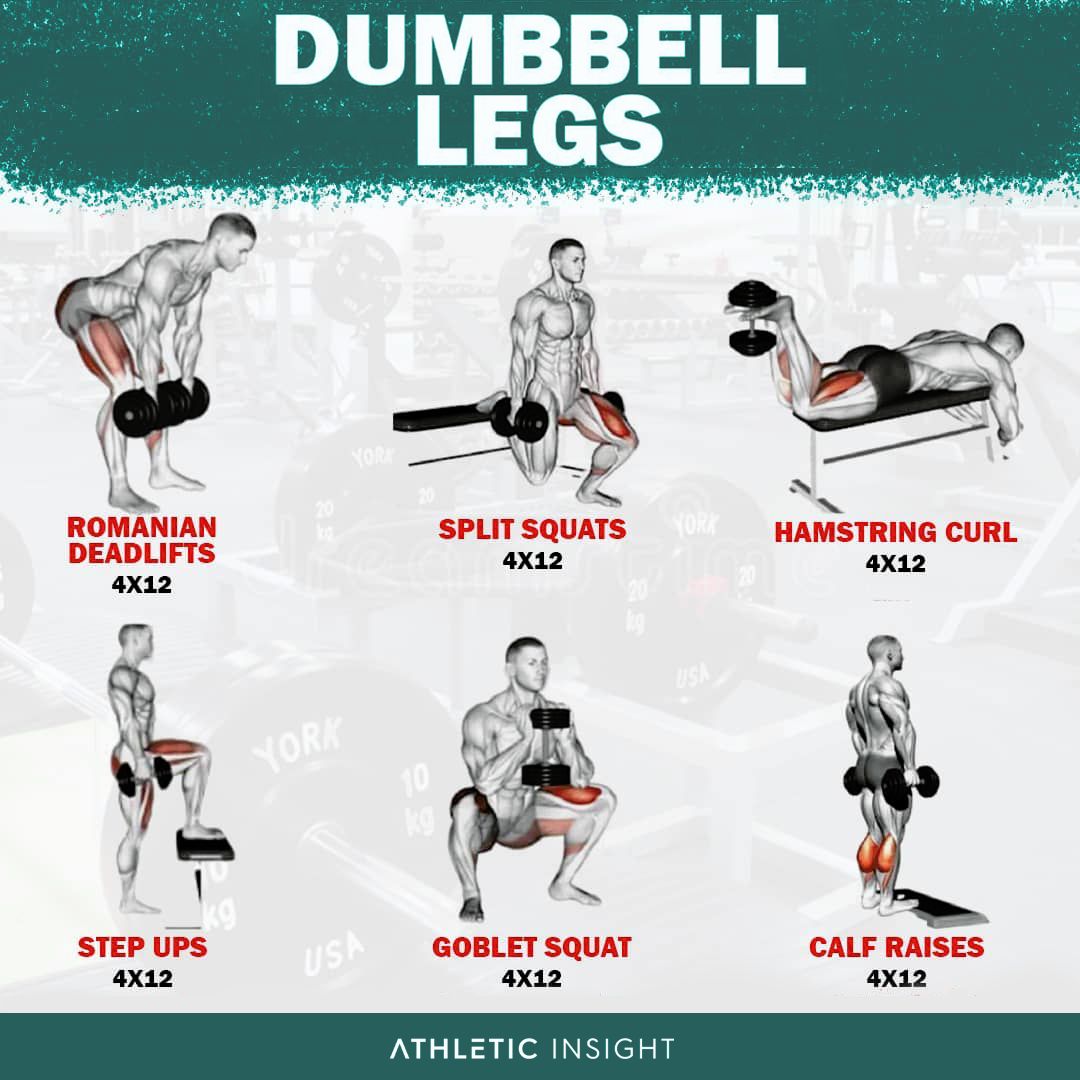Dumbbell Legs Workout | Scrolller