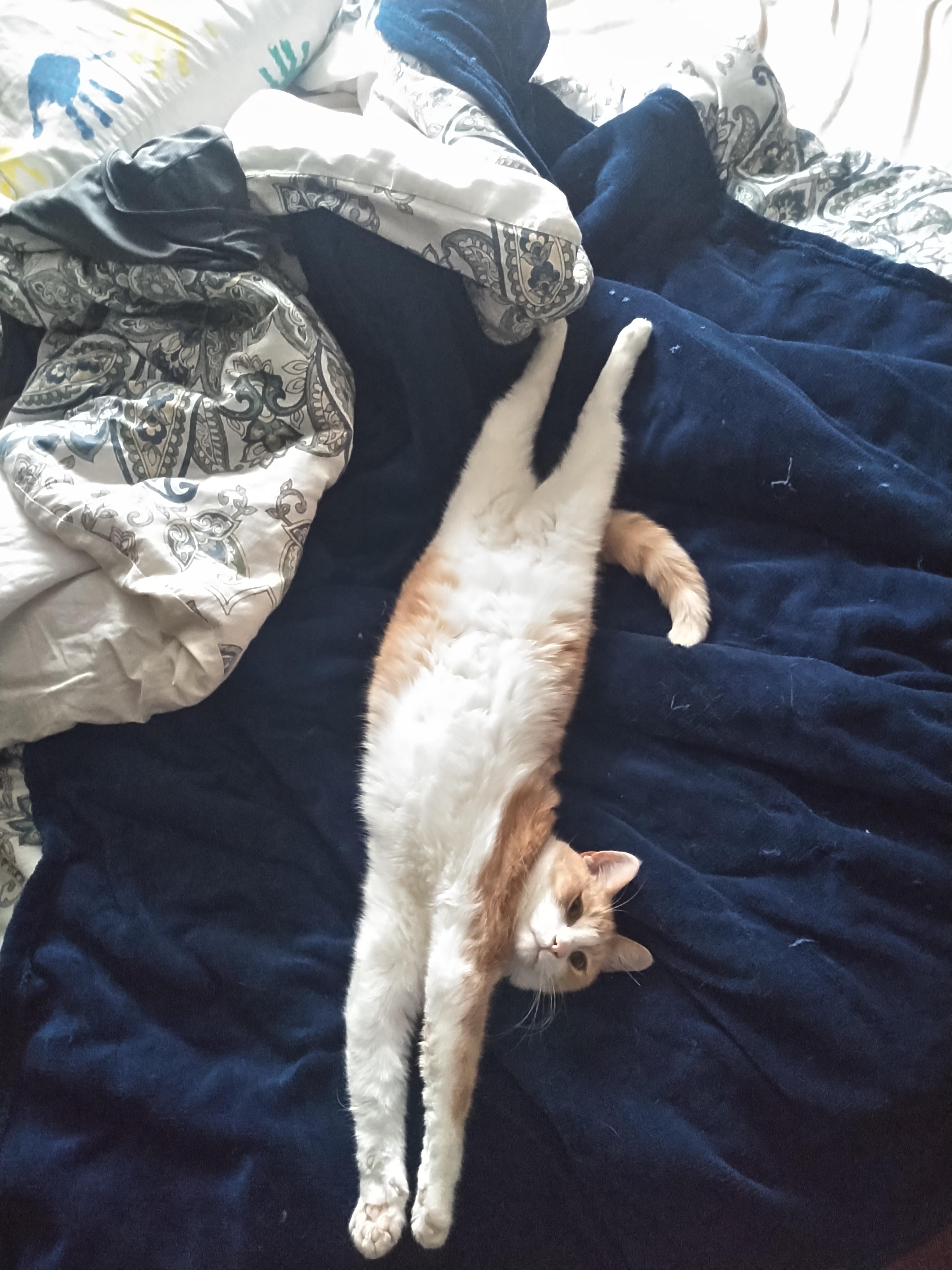 Full Extension Scrolller