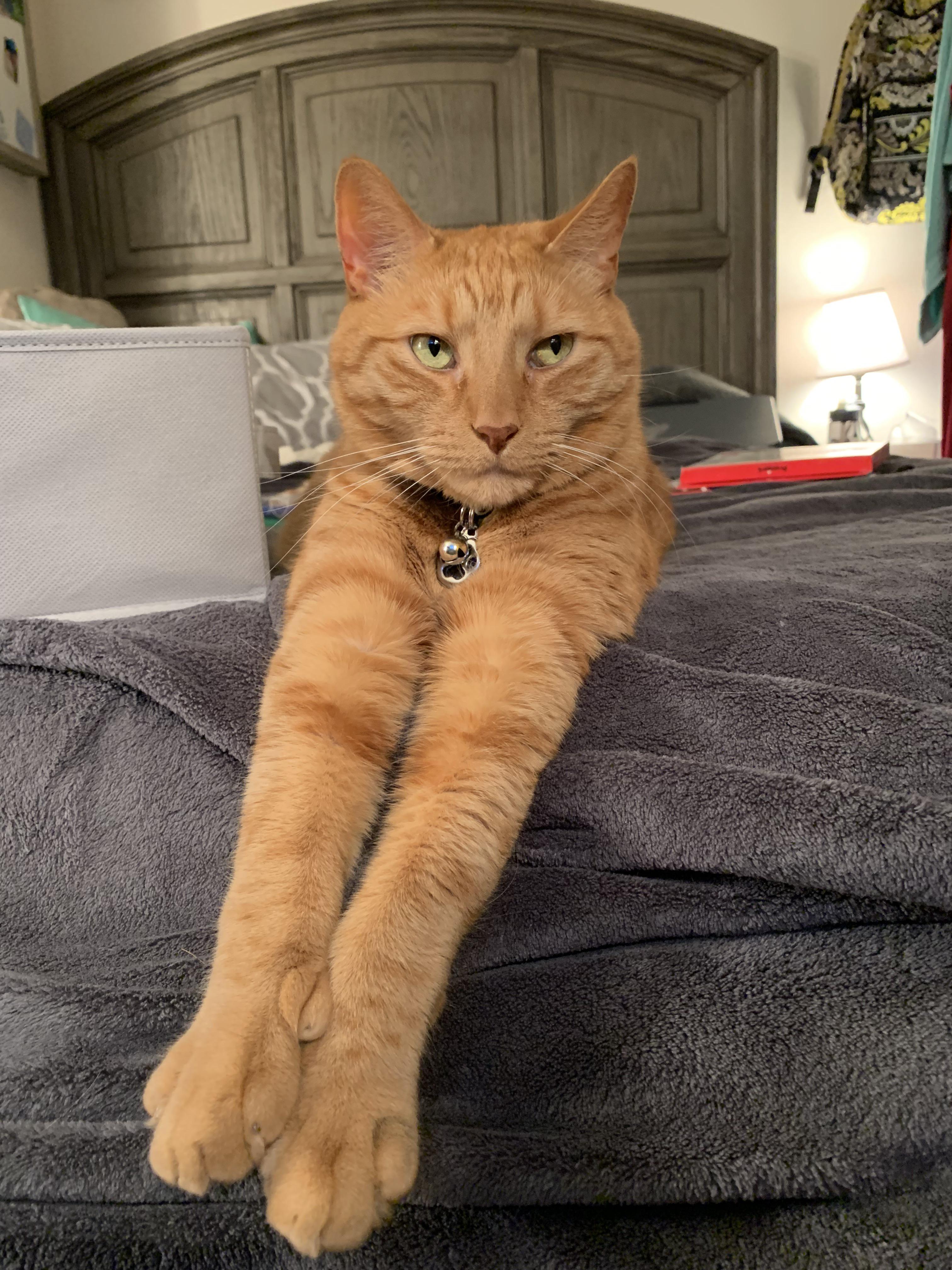 His nickname is "Hands" | Scrolller