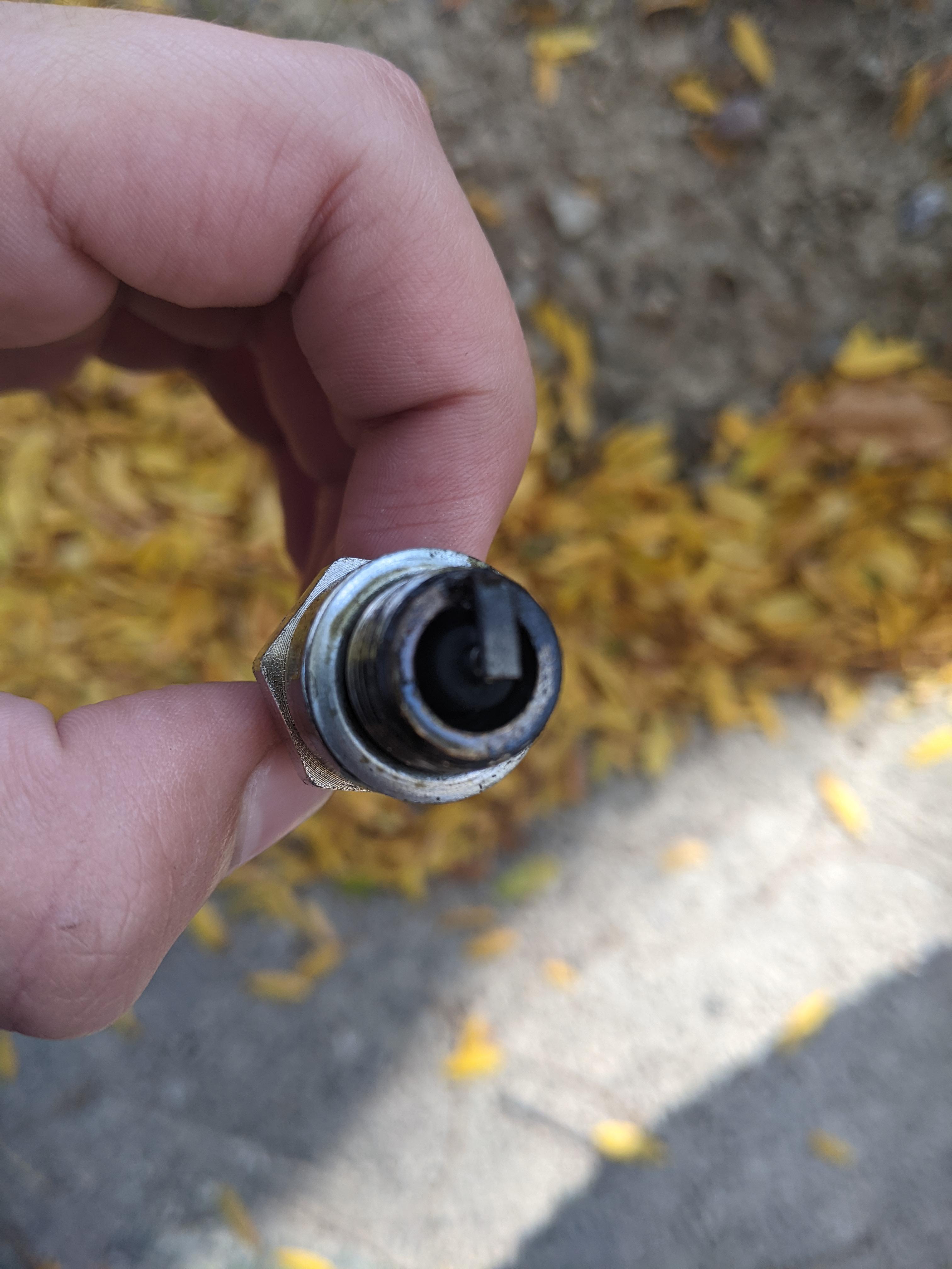 How's my spark plug look? Scrolller