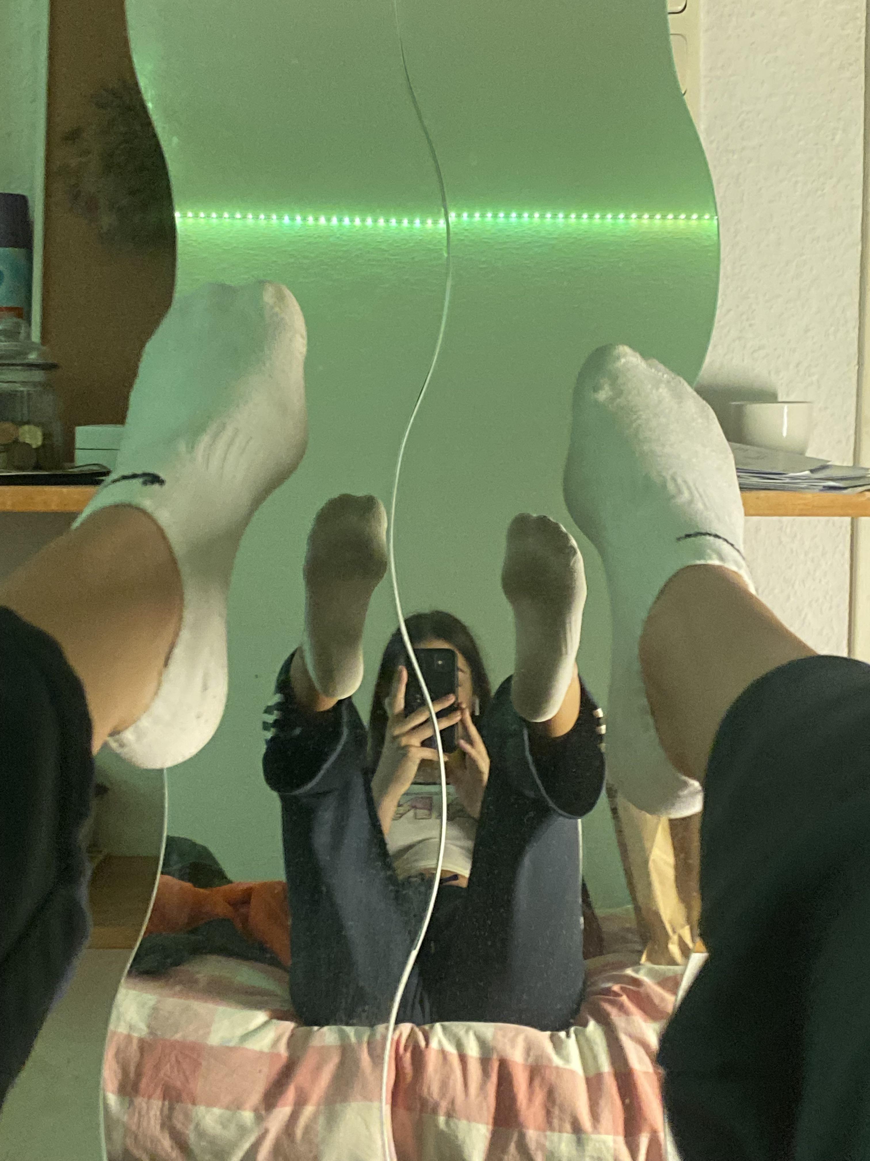 cindy shine kafa montajlama programı