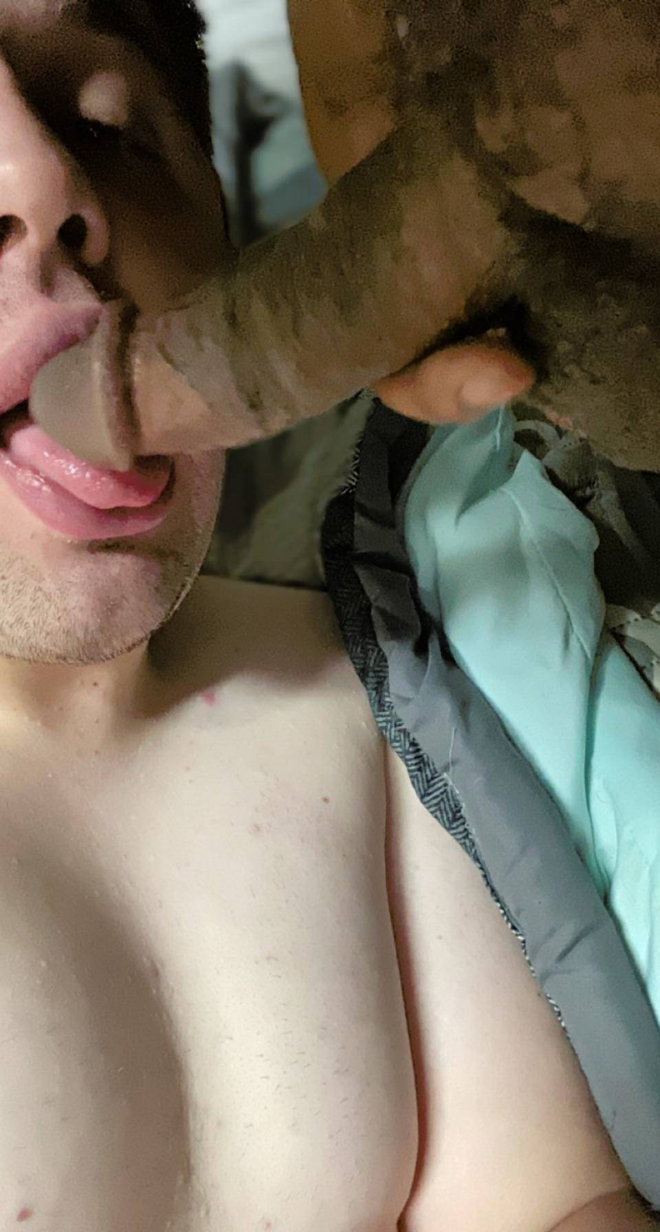 I love sucking cock Scrolller 
