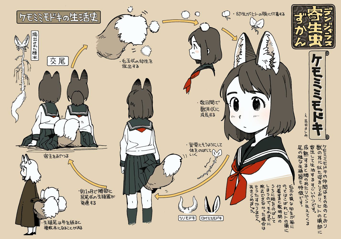 Is it just me or does this kitsune look like komaru | Scrolller