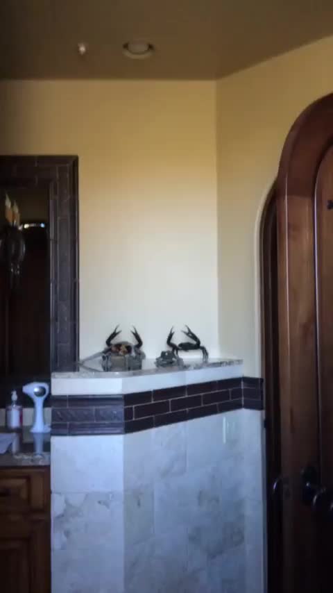 Maggie Smoczynski | Scrolller