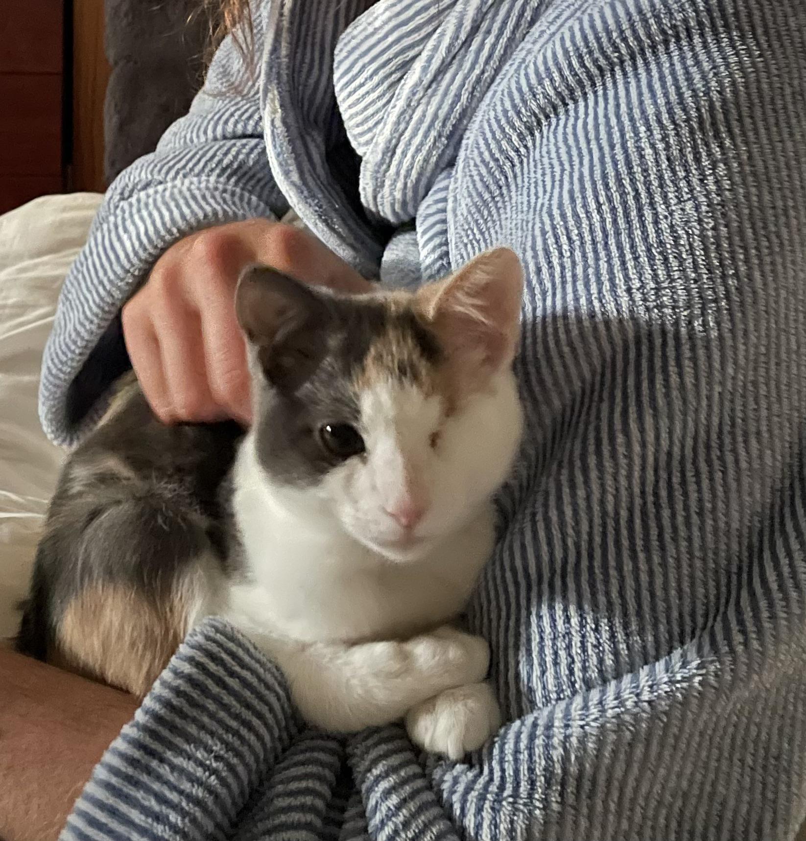 Maeve just wants constant cuddles 🥺 Scrolller