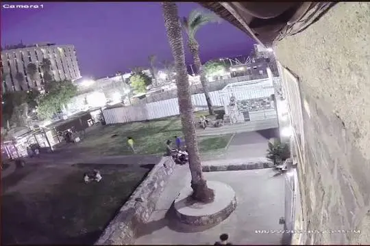 MMC after a palm tree breaks and falls on me