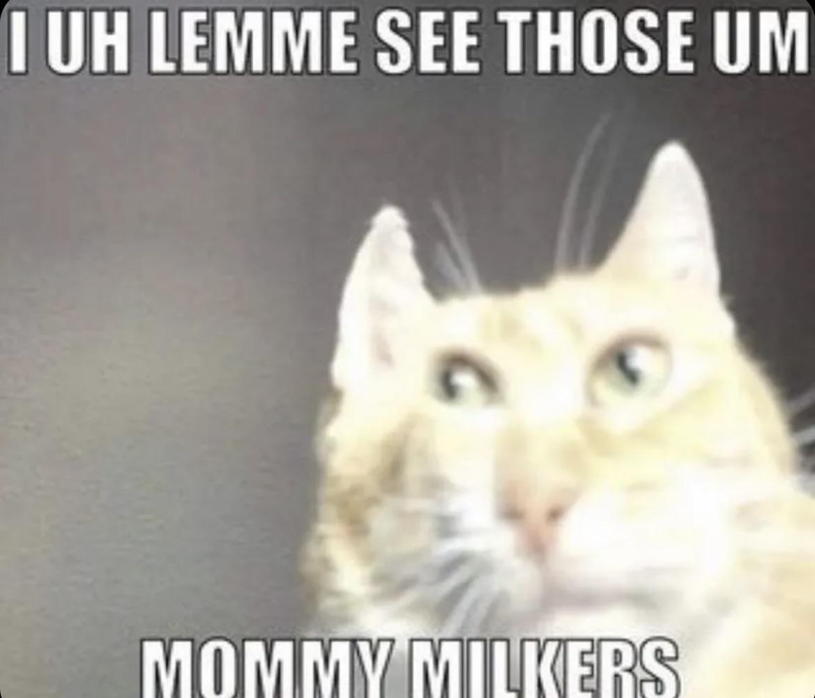 Mommy Milkers Are The Best Scrolller 