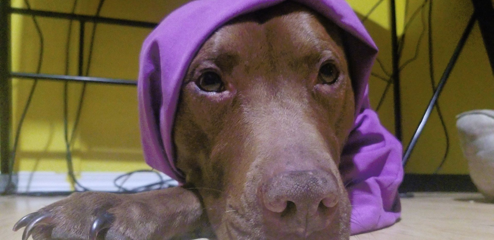 My Little Babushka Is Here To Brighten Your Day | Scrolller