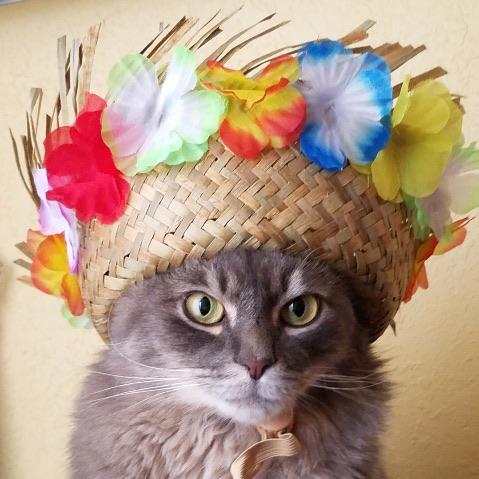 Nucky is ready for summer..are YOU?? | Scrolller
