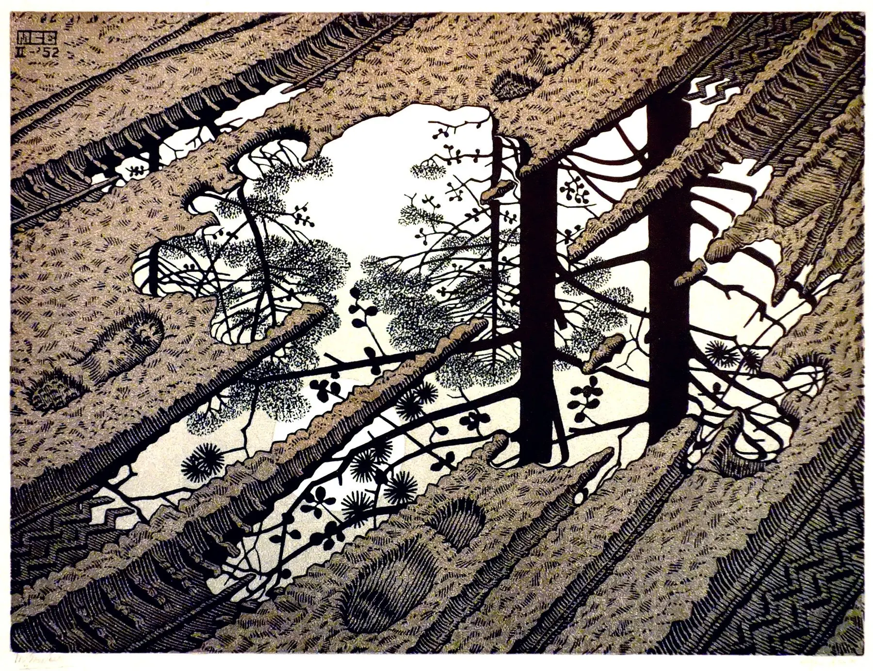 Puddle (1952), M C Escher, [1800 x 1384] | Scrolller