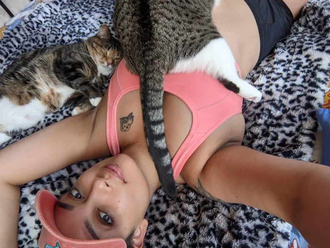A person in a pink cap and top lying on a leopard print blanket with two cute cats