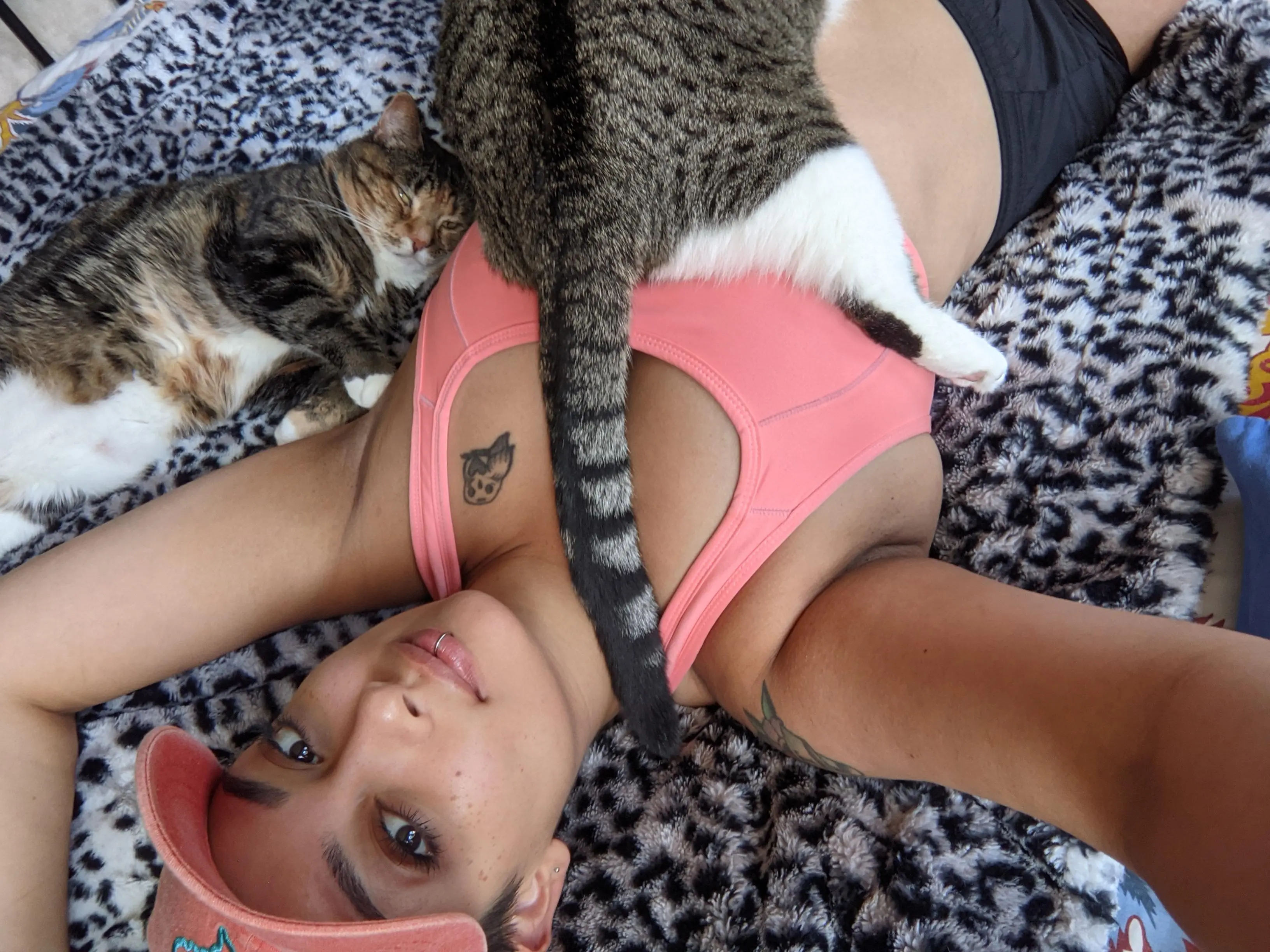 Pussy all over the place