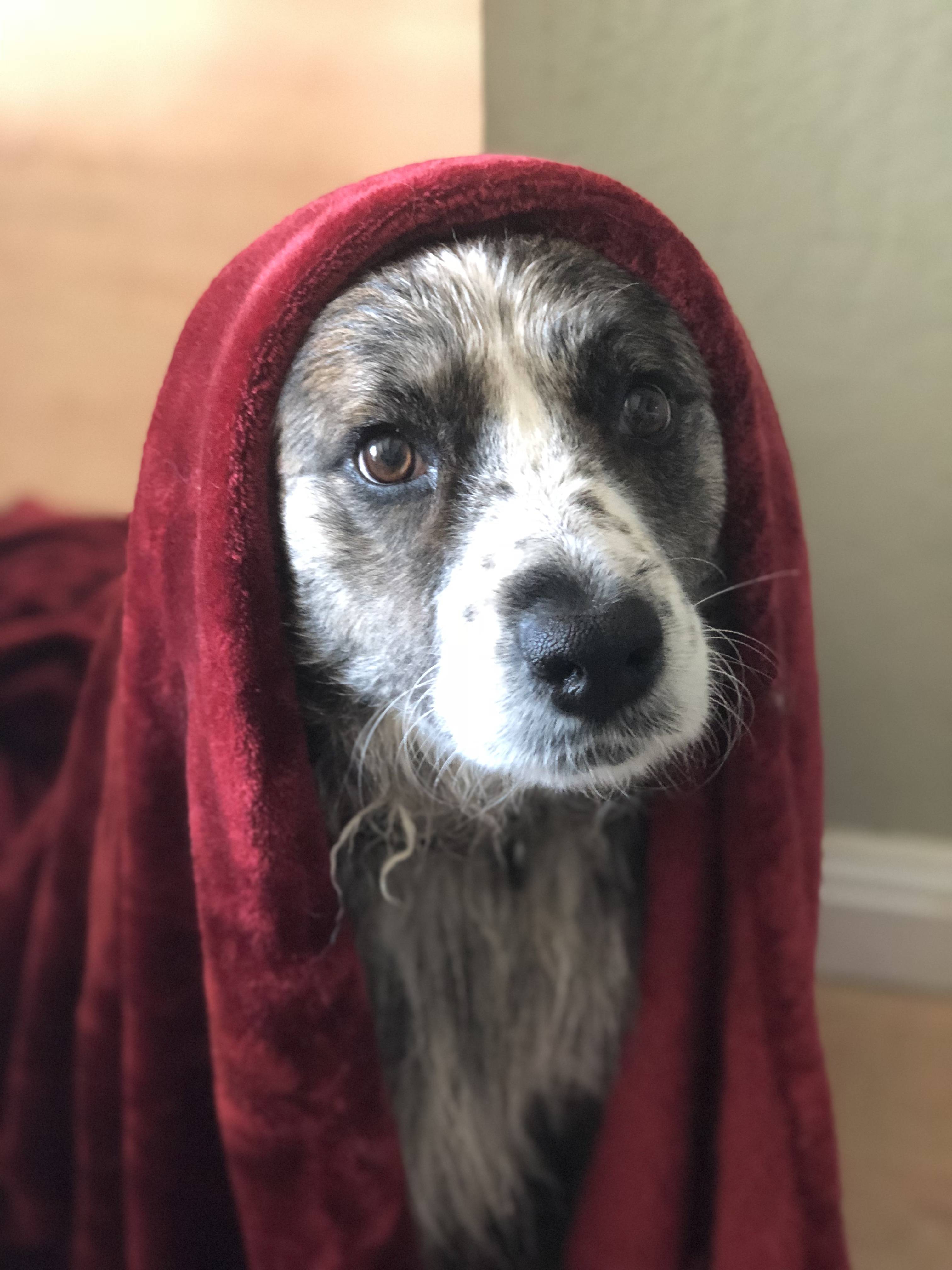 Saint Babushka Scrolller