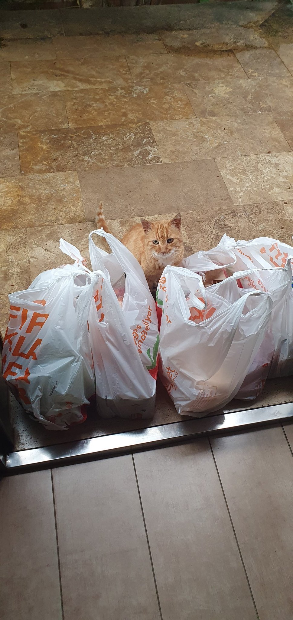 Should I tip him? Scrolller