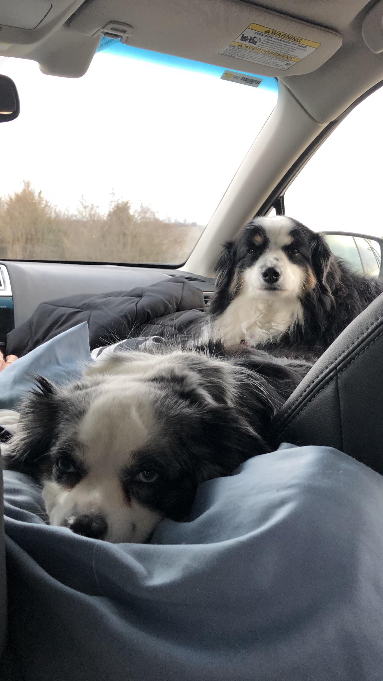 Time for a long car ride Scrolller