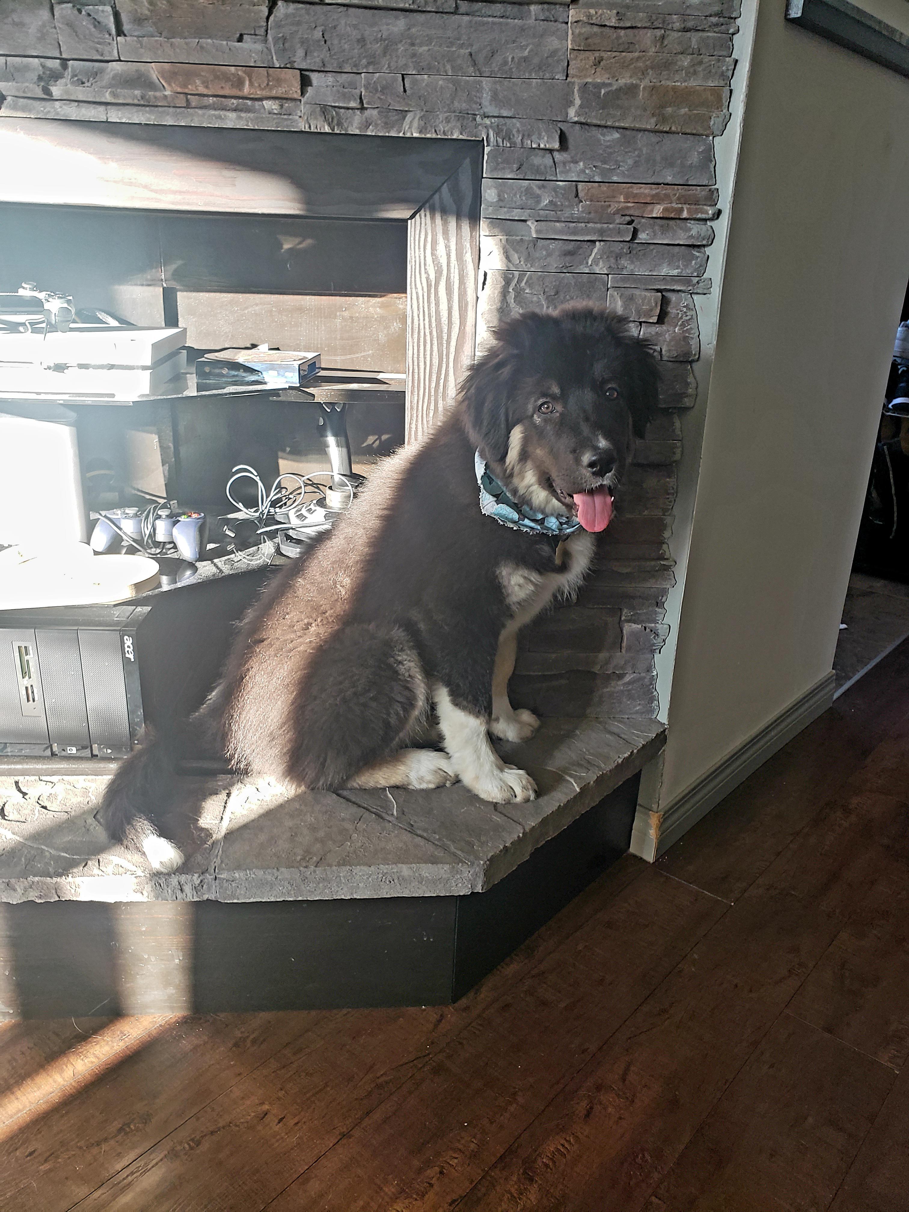 When only the beam of light on the mantle will do, no amount of 'get